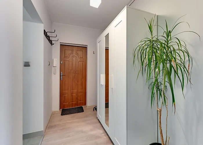 Dream Apartments- Alpha דירה